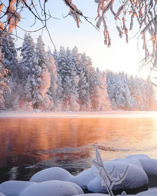 зима #февраль #лес #природа #снег #мороз #холод #белый #прогулка #россия  #winter #february #forest #nature #tree #snow #frost #freeze… | Instagram