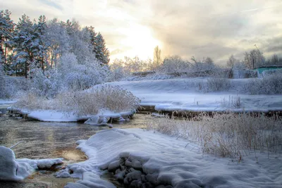 Зима природа февраль - фото и картинки: 68 штук