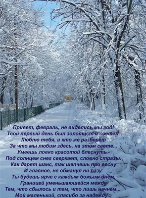 Сказочные красоты русской зимы. Февраль в Ленинградской области