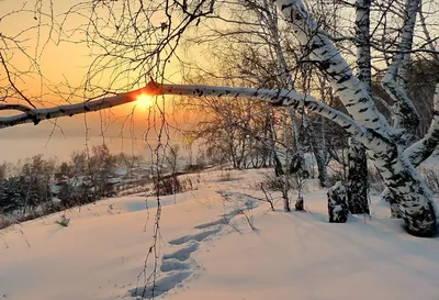 Погода в Кирове. Зима напоминает, что февраль – ее месяц
