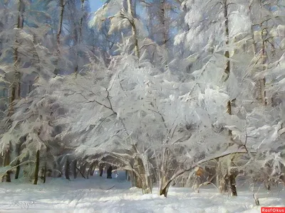 Зима, февраль... | Scenery, Beautiful landscapes, Landscape