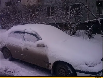 Прошлый февраль в Беларуси был теплее нормы. Чего ожидать от погоды в этом  месяце - Минск-новости