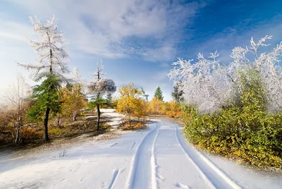 Зима лето (27 фото) - 27 фото