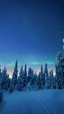 See my collection of cool iPhone and android snow wallpapers and background  images in High Definition - Get instant access FREE! #snow #smartph… |  Город, Зима, Снег