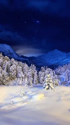Обои ночь, зима, снег, природа, дерево на телефон Android, 1080x1920  картинки и фото бесплатно