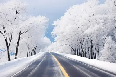 Обои зима, снег, природа, замораживание, дерево на телефон Android,  1080x1920 картинки и фото бесплатно