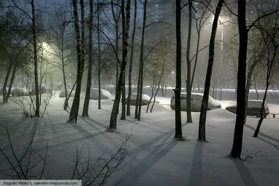 Зима не хочет уходить - снег выпал в южной Якутии - YakutiaMedia.ru