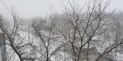 Зима не хочет уходить из Костромы | K1NEWS Кострома