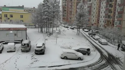 Зима не хочет уходить. Синоптик обещает снег и мороз до -25 градусов |  Latvijas ziņas - Новости Латвии
