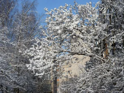 ЗИМА НЕ ХОЧЕТ УХОДИТЬ... Зима не хочет уходить Николай Решетнёв Весна  бывает тоже грустной, Когда повалит мокрый снег, Пейзаж … | Instagram