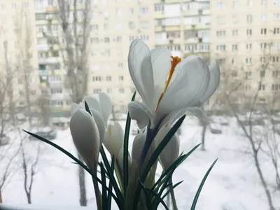 Апрель. Зима никак не хочет уходить ❄️ Фото: Нина Поликарпова #устьилимск  #ustilimsk #зима #весна #2023 #апрель #илим24 | Instagram