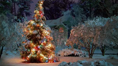 Картинки природа, зима, елка, новый год, домик, красиво, позитив - обои  1920x1080, картинка №121088
