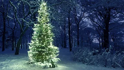 Скачать обои ночь, снег, новый год, елка, зима разрешение 1920x1080 #105383