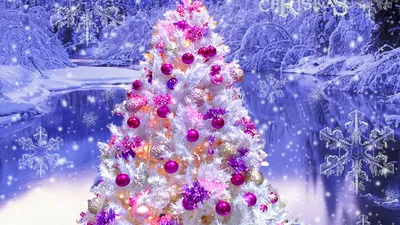 картинки : Рождество, новый год, Рождественская елка, елочная игрушка,  Украшения, Рождественская гирлянда, зима, Рождественский бал, New Year's  pictures, Фотографии christmas, день отдыха, мячи, Спортивное снаряжение,  ночь, блеск, весело ...