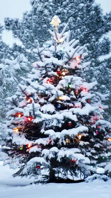 Обои Новый год, Рождественский день, елка, зима, снег на телефон Android,  1080x1920 картинки и фото бесплатно