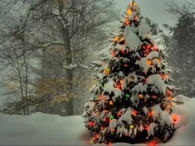 Рождественская композиция шарики на снегу | Обои для телефона