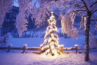 Зима новый год в деревне» — создано в Шедевруме