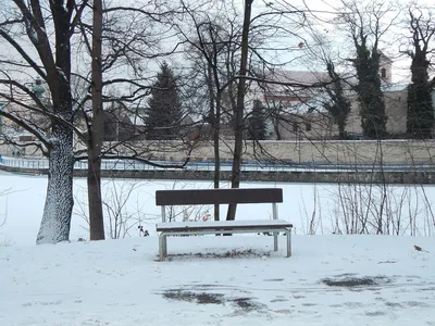 Картинки зима одиночество фотографии