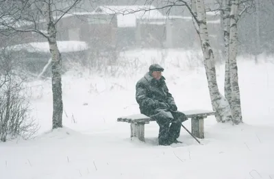Скачать 1350x2400 человек, деревья, снег, одиночество, зима обои, картинки  iphone 8+/7+/6s+/6+ for parallax