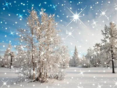 Зима Снег Падает - Бесплатное фото на Pixabay - Pixabay