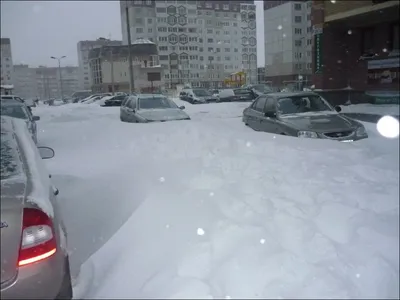 В Киеве сегодня снег - а снег идет Глюкоза, с первым снегом прикольные  картинки, приколы про снег