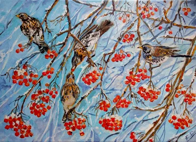 зима птицы стоковое фото. изображение насчитывающей двойник - 6869724