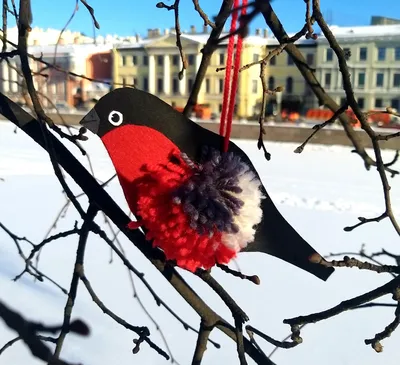 Раскраска птицы зимой. Птицы зимой из мультика. Разукрашки.