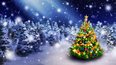 Картинки Рождество Зима Природа Новогодняя ёлка лес снега 3840x2160
