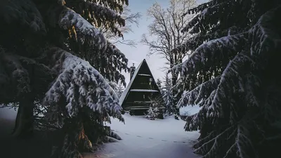 Обои домик, зима, снег, лес, уют картинки на рабочий стол, фото скачать  бесплатно