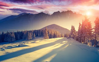 Фон рабочего стола где видно природа, зима, снег, дерево, иней, солнечный  день, голубое небо