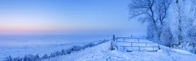 Обои на рабочий стол: Зима, Снег, Земля/природа - скачать картинку на ПК  бесплатно № 160490