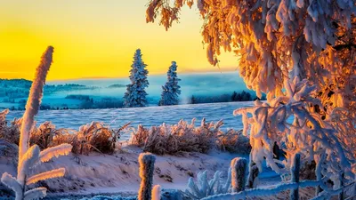 Крутые картинка на рабочий стол: Зима, Природа, Снег | Бесплатные Лучшие  обои
