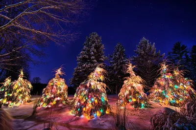 новый год рождество семья отец сын путешествие Россия зима снег дом Stock  Photo | Adobe Stock
