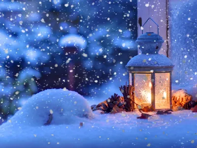 Картинки новый год, зима, снег, огни, Елки - обои 1920x1080, картинка №11558