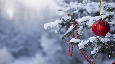 картинки : снег, зима, ночь, толпа, день отдыха, Рождество, новый год,  рождественские украшения, Бунт, мероприятие, Рождественский магазин,  Нюрнберг, Снежинки, рождественские огни, Christmas Buden 2262x1500 - -  771863 - красивые картинки - PxHere