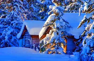 Домик в лесу - зима снег новый год ели - Новогодние картинки, рисунки и  открытки