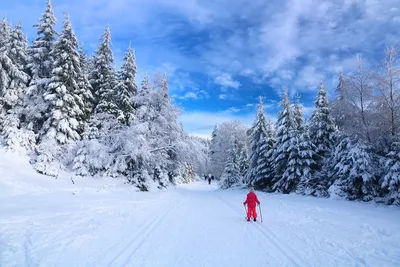 🎿Зимний спорт: как похудеть и закалиться на свежем воздухе. Польза  тренировок на свежем воздухе зимой