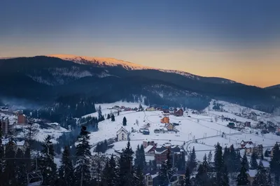 Царство снега и льда: магически прекрасные зимние Карпаты-фото