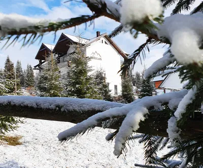 Зимний отдых в Карпатах 2023-2024 - в этом году украинским курортам повезло  со снегом - фото — УНИАН