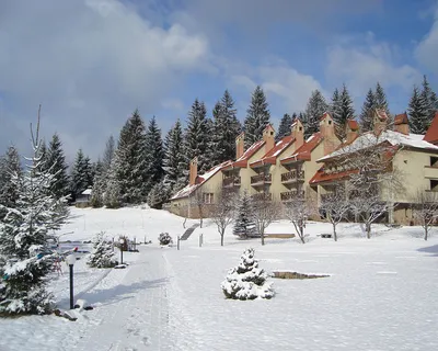 Погода в Карпатах – на горе Поп-Иван началась настоящая зима со снегом и  морозами, фото, видео | Новости РБК Украина