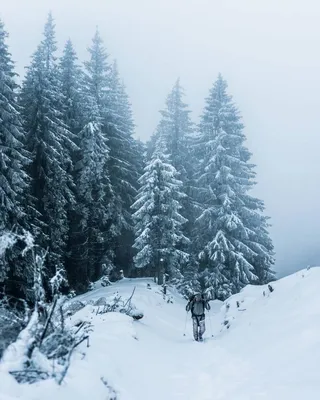 Зима в Карпатах 2015. Погарский, Чорна Клыва | Фотоблог Ивана Кмитя