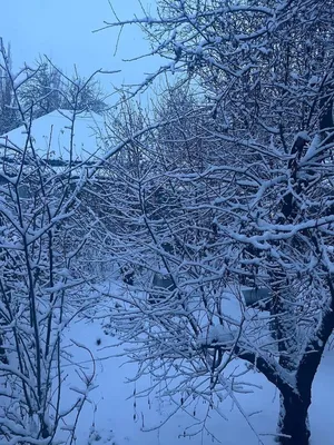 Первый зимний забег в Пушкино проведут в ушанках и валенках