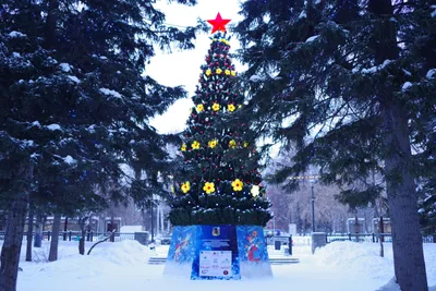 Снимки с надписью «Куча стабильности», «В мае уберем» на снежном завале в  Заволжье администрация назвала фейком - 11 февраля 2022 - nn.ru