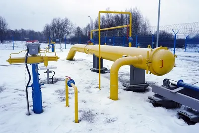 ДОН24 - В Ростовской области пошел первый снег