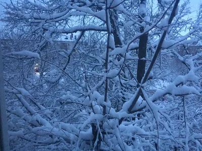 Зима вернулась в марте | Пейзажи, Фотографии задних планов, Снегопад