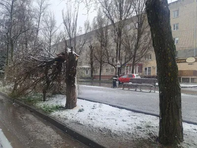 Небольшой снег: о погоде в Алтайском крае 9 марта | 09.03.2023 | Советское  - БезФормата