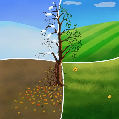 Весна Лето Осень Зима четыре сезона пейзаж холст Картина Красочные деревья  картины постеры и принты для гостиной | AliExpress