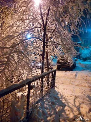 Фото: Зима за окном.... Ирина Л.. Пейзаж. Фотосайт Расфокус.ру