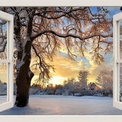Зима за окном (96 фото) » НА ДАЧЕ ФОТО