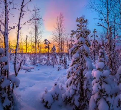 зимний закат | Светлана Балынь | Flickr